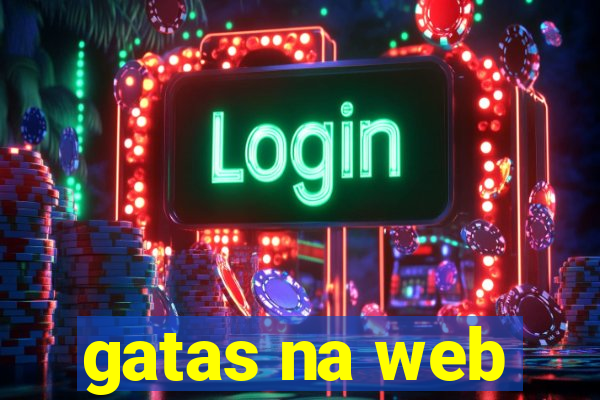 gatas na web